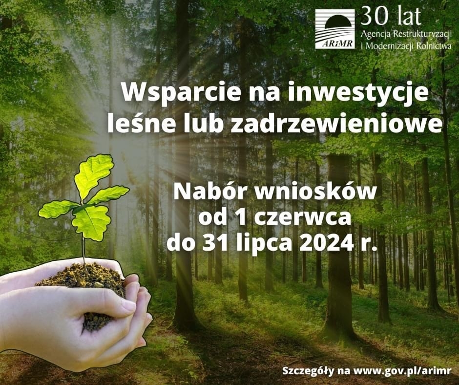 Pieniądze na inwestycje leśne lub zadrzewieniowe!